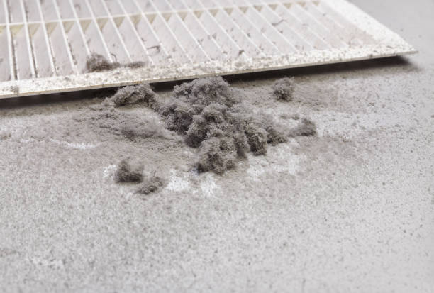 Best Affordable Duct Cleaning Services  in Ocean Grove, NJ